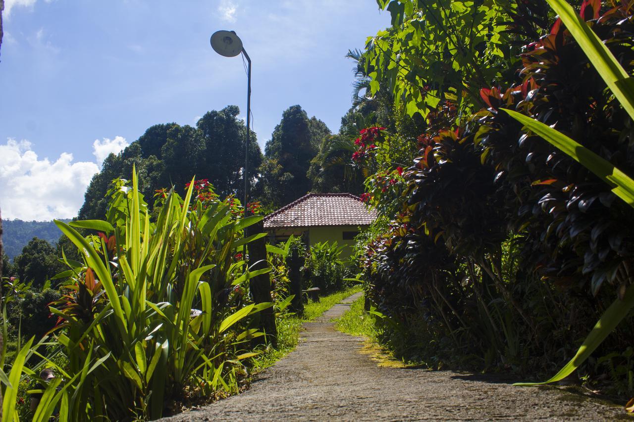 Aryautama Garden Villa Munduk Εξωτερικό φωτογραφία